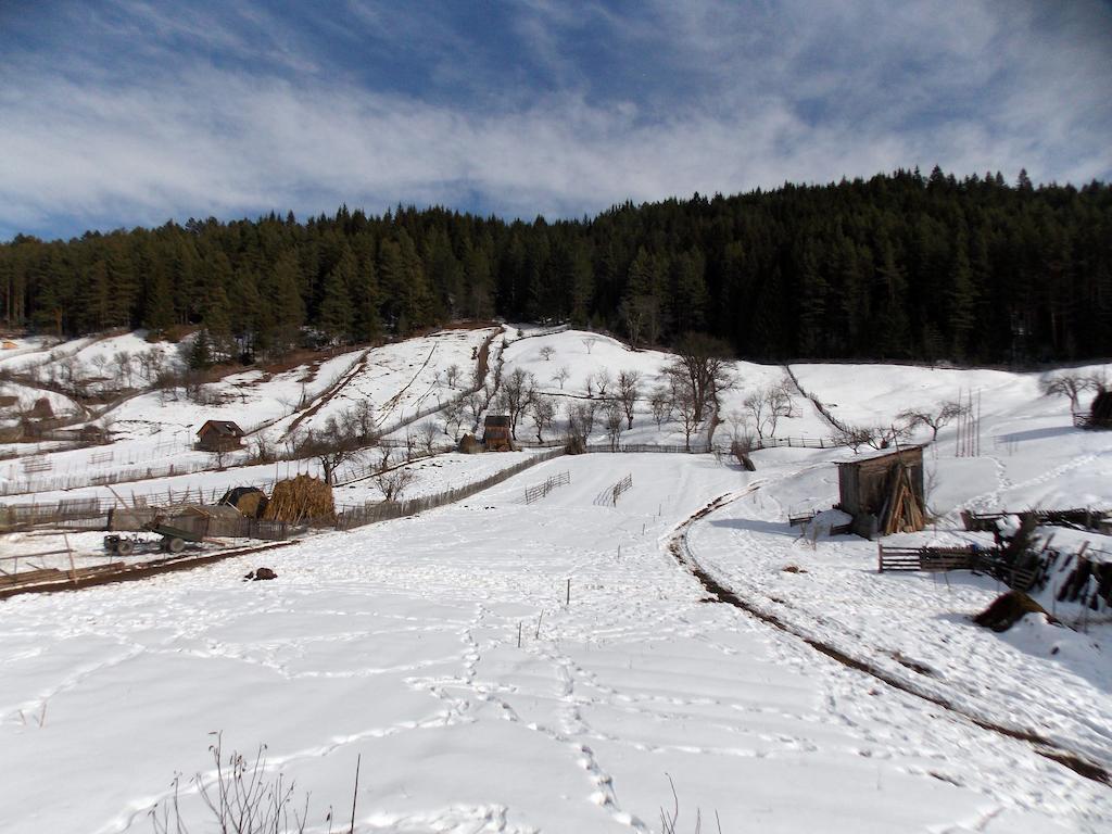 Pensiunea Paradiso Poiana Teiului Exteriör bild