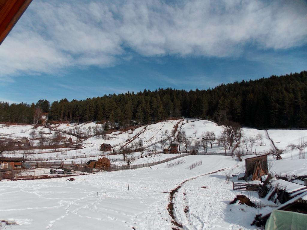 Pensiunea Paradiso Poiana Teiului Exteriör bild